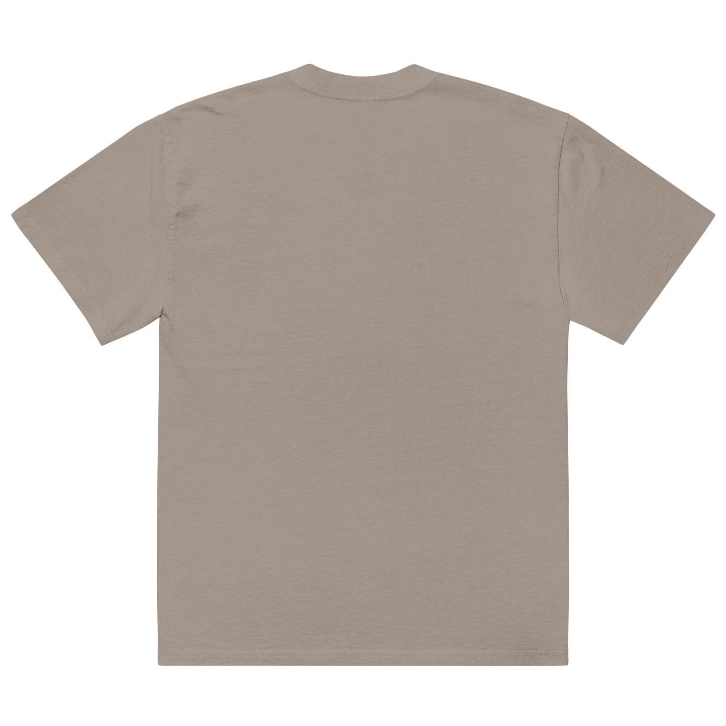 Bay Laurel Oversized Faded T-Shirt