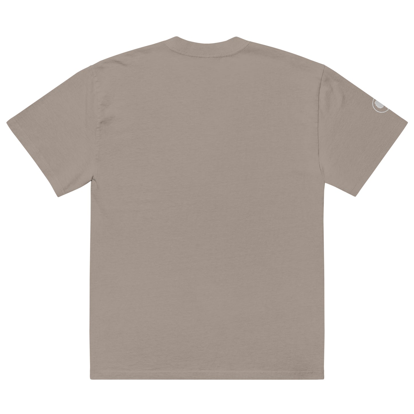 Kyle Skye Oversized Faded T-Shirt